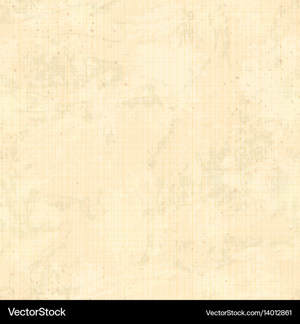 Grunge Paper Texture vector image