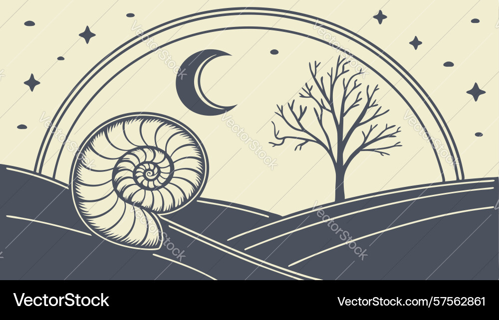 Nautilus shell and bare tree under crescent moon vector image