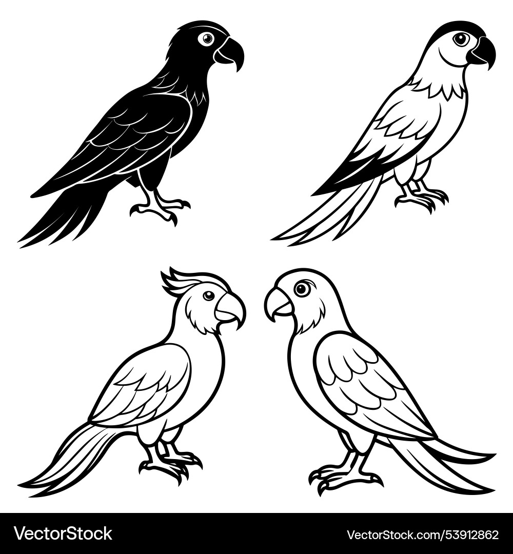 3d rendering of dynamic parrot silhouette line art 3d rendering of dynamic parrot silhouette line art vector image