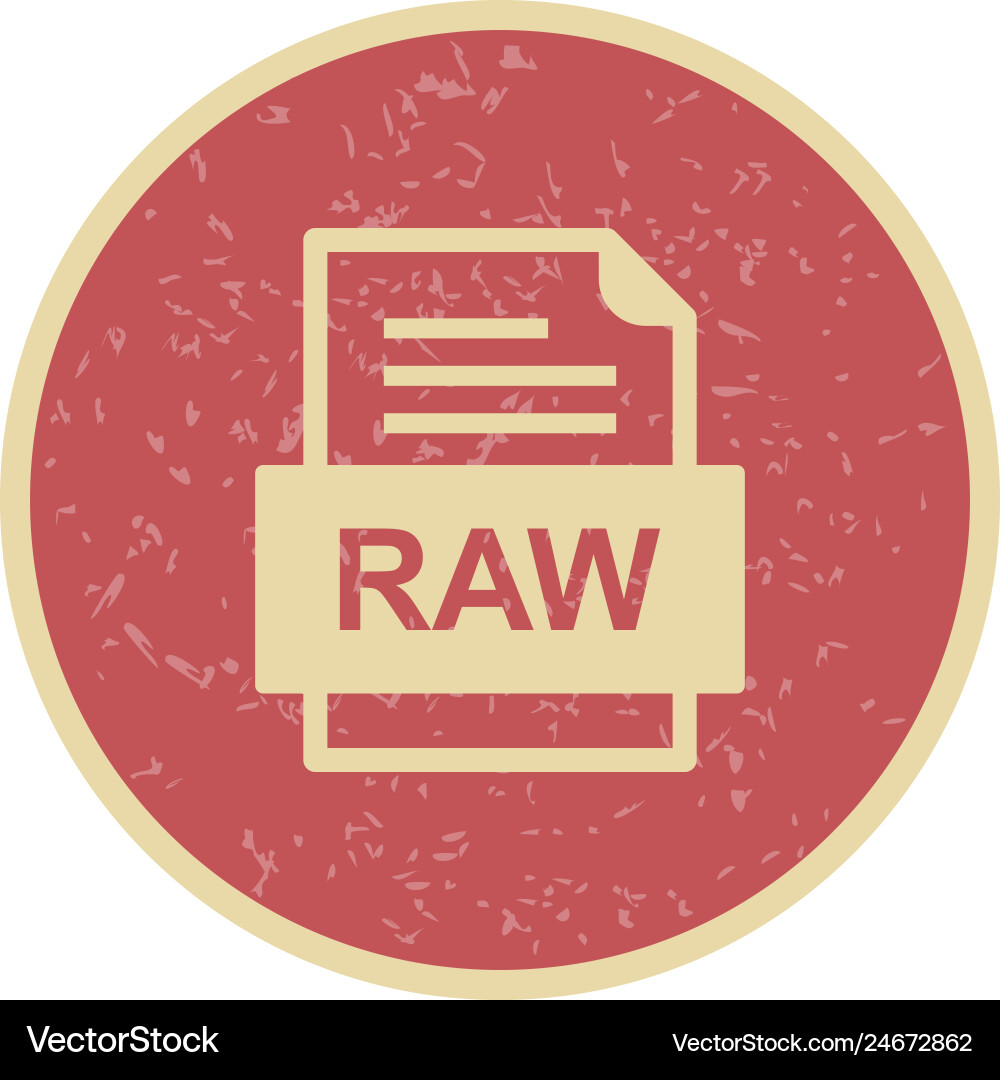 Raw file document icon Vector Image