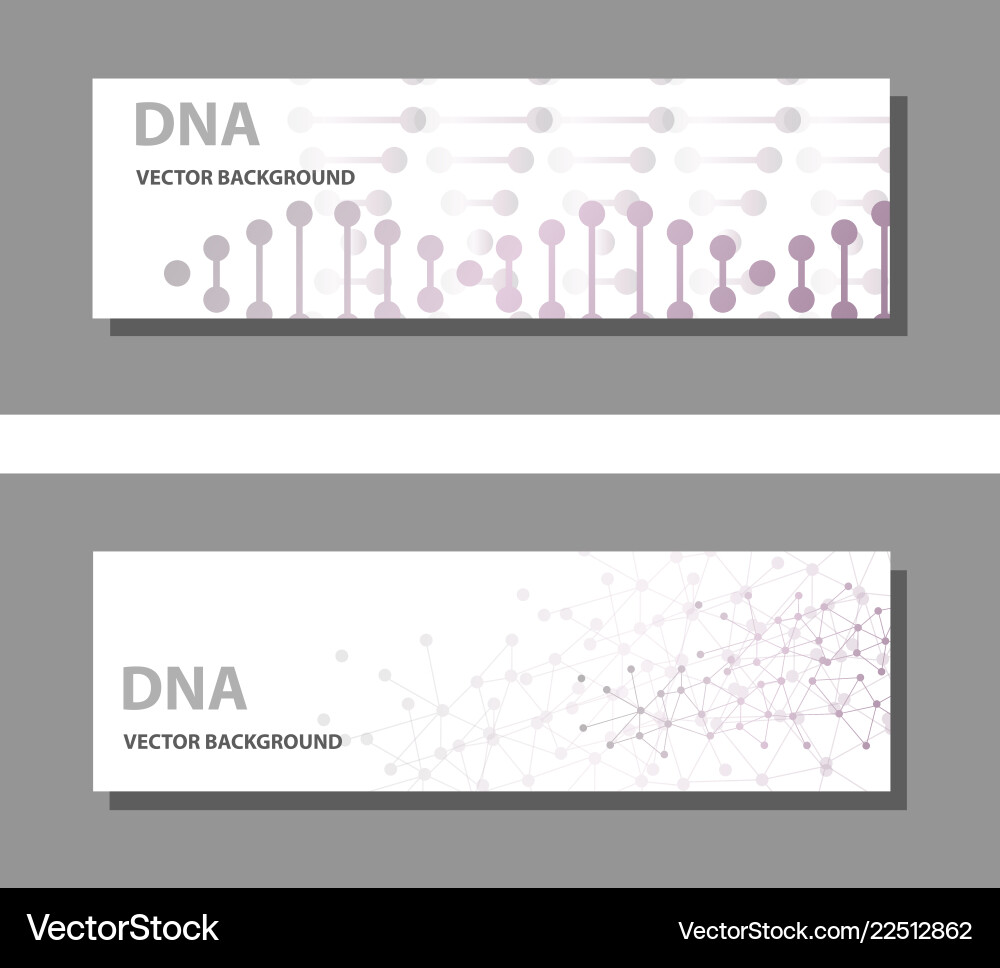 Set of 9 templates for presentation slides vector image