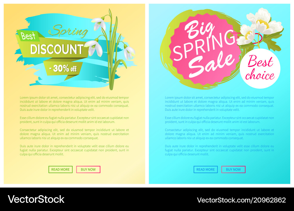 Spring big sale discount new offer premium posters Spring big sale discount new offer premium posters vector image