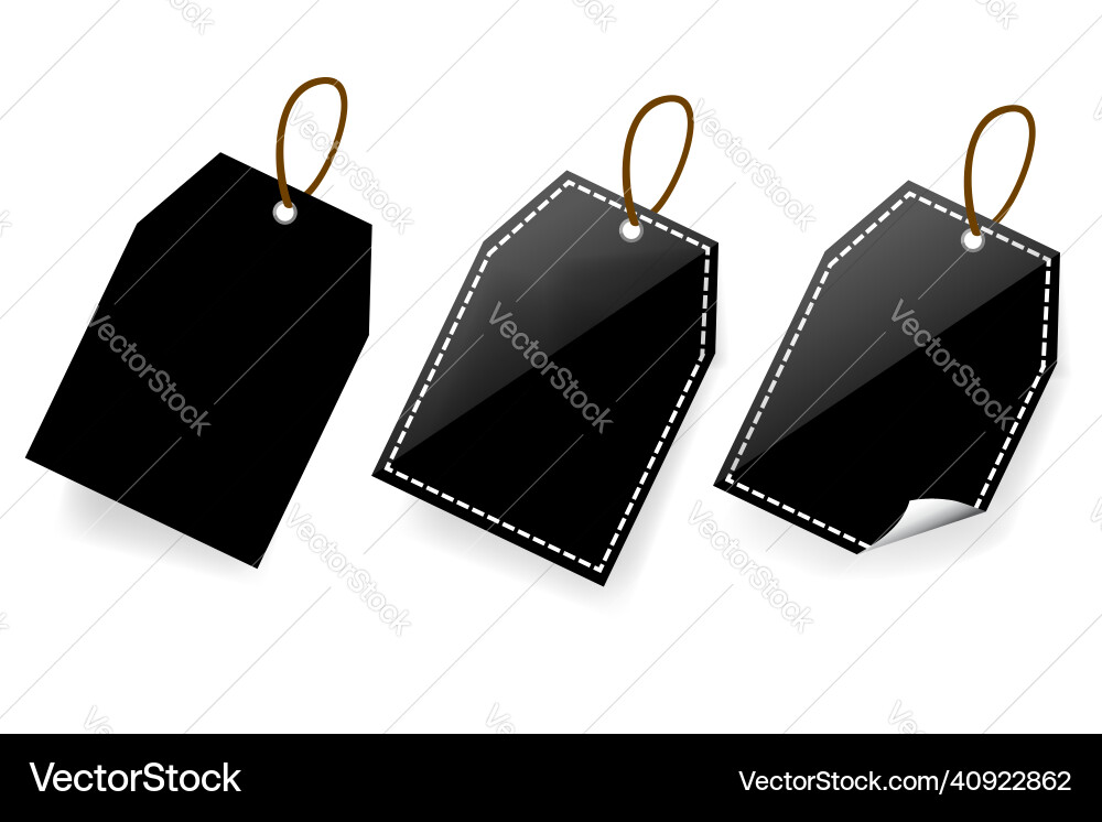 Three style rectangle blank tag with soft shadow Vector Image