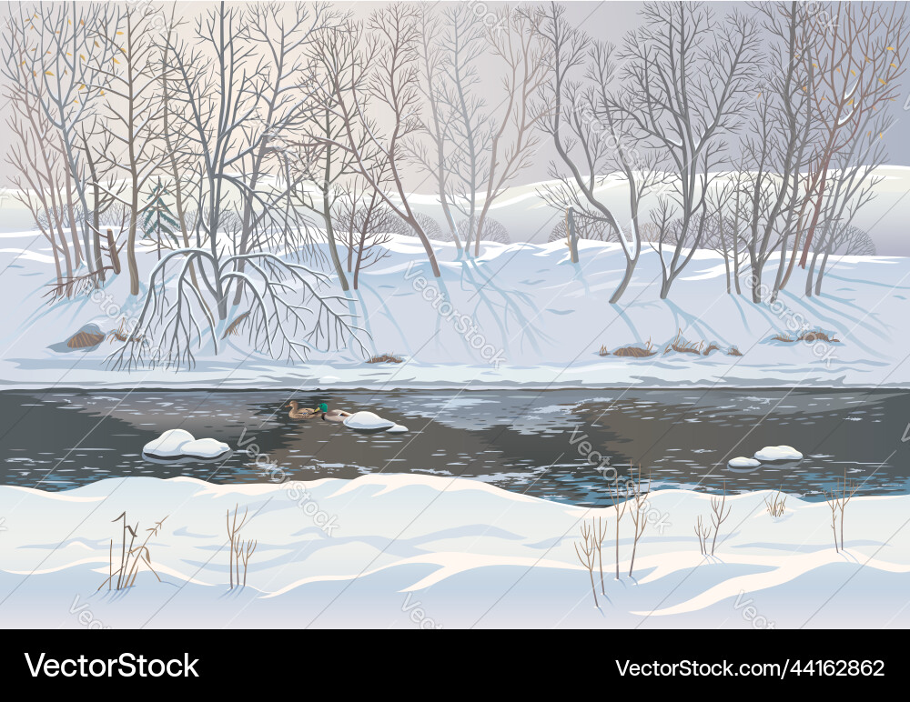 Winter snowy forest landscape with ice river vector image