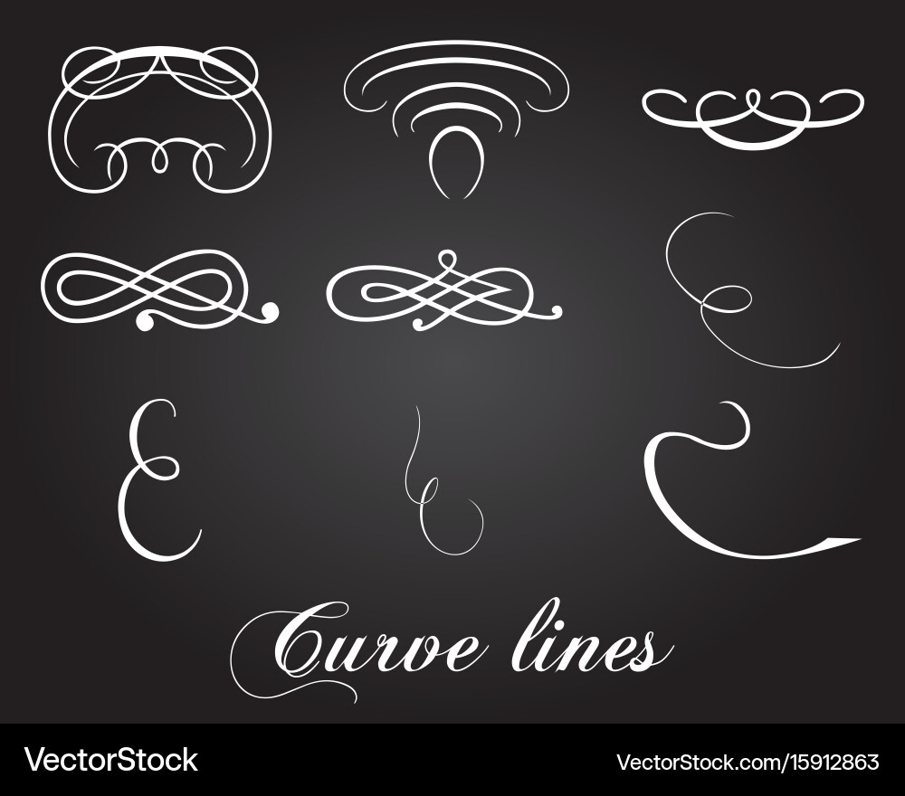 Typographic design elements and curve lines Vector Image