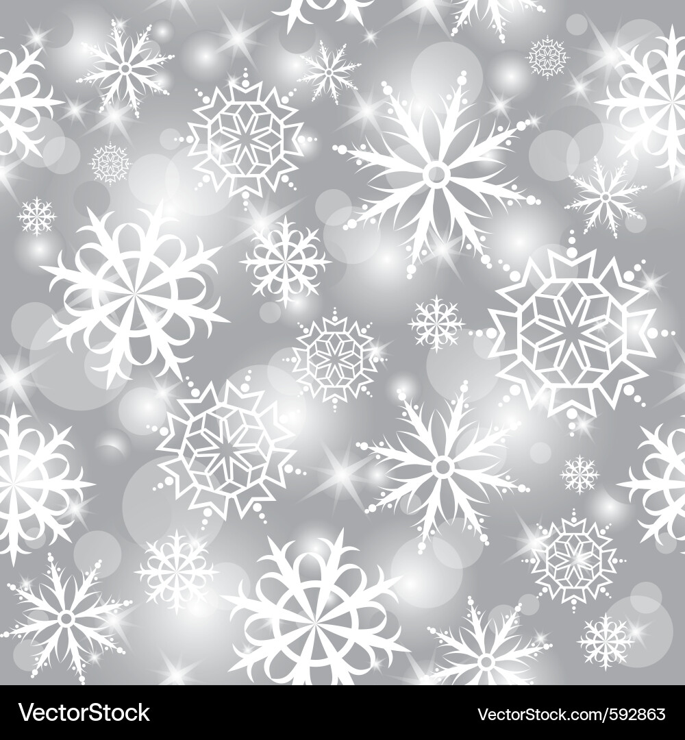 Winter Snowflake Pattern vector image