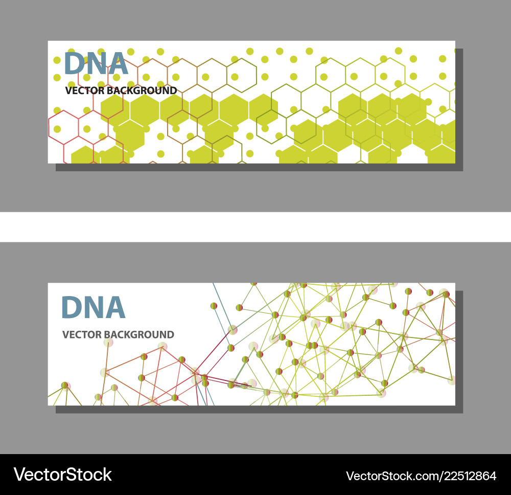 Set of 9 templates for presentation slides Vector Image