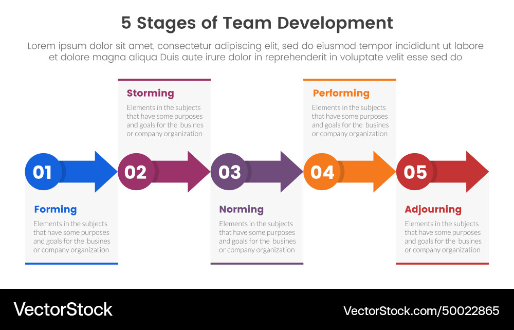 5 stages team development model framework 5 stages team development model framework vector image