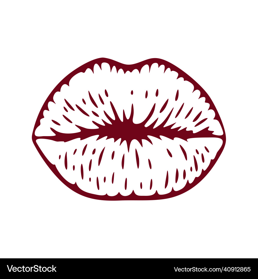 Beauty female lips line art Beauty female lips line art vector image