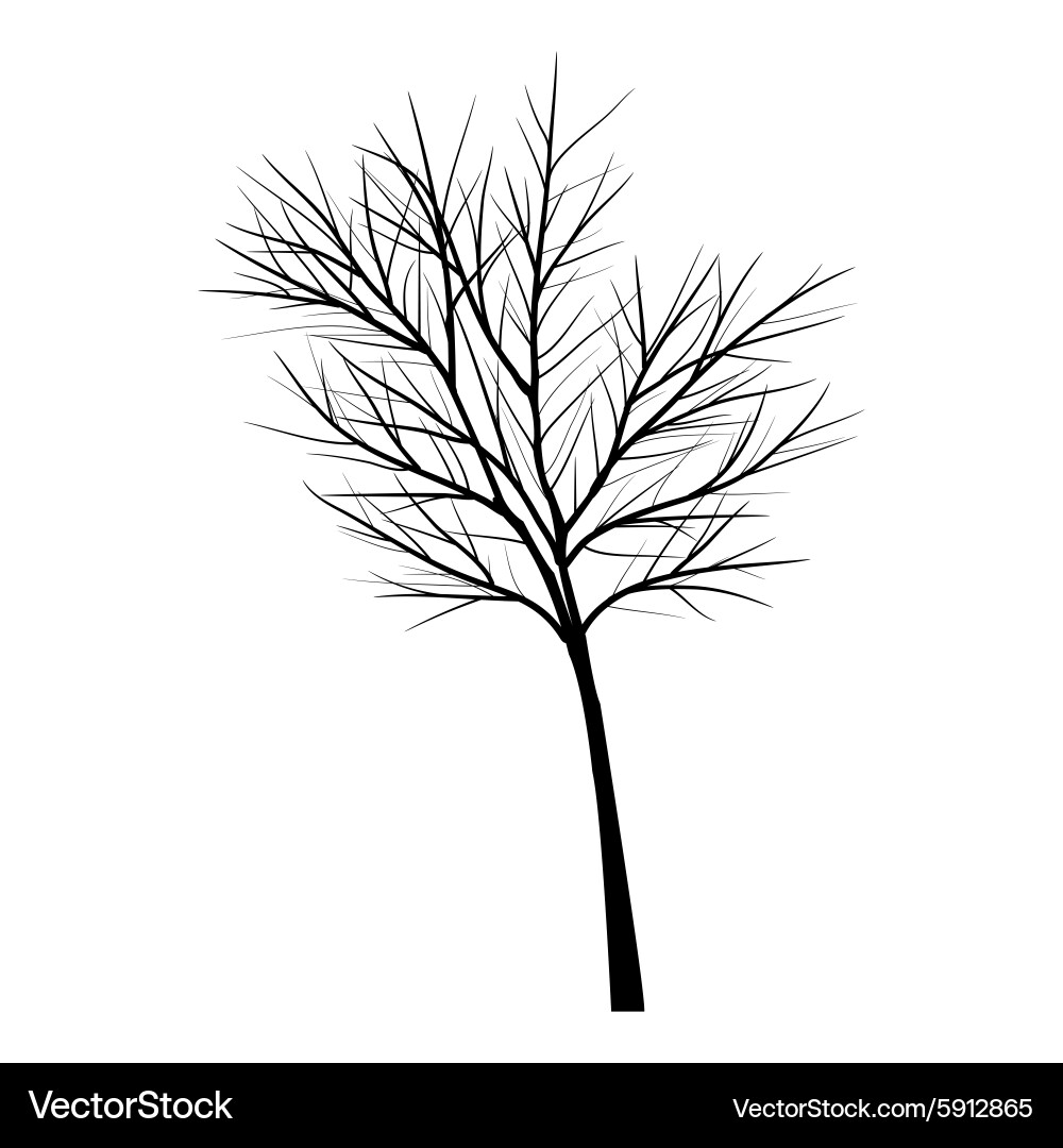 Trees with dead branch Vector Image