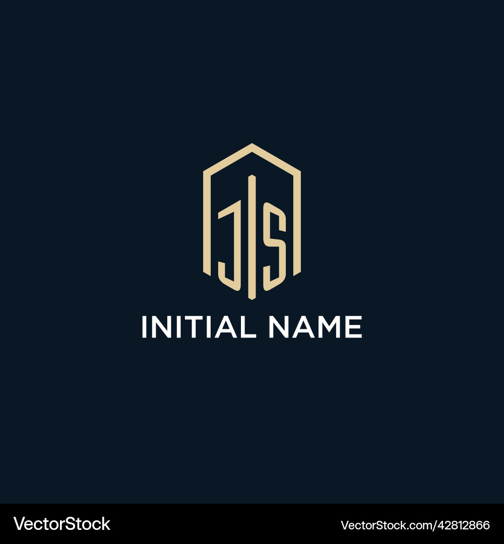 Js initial monogram logo with hexagonal shape vector image