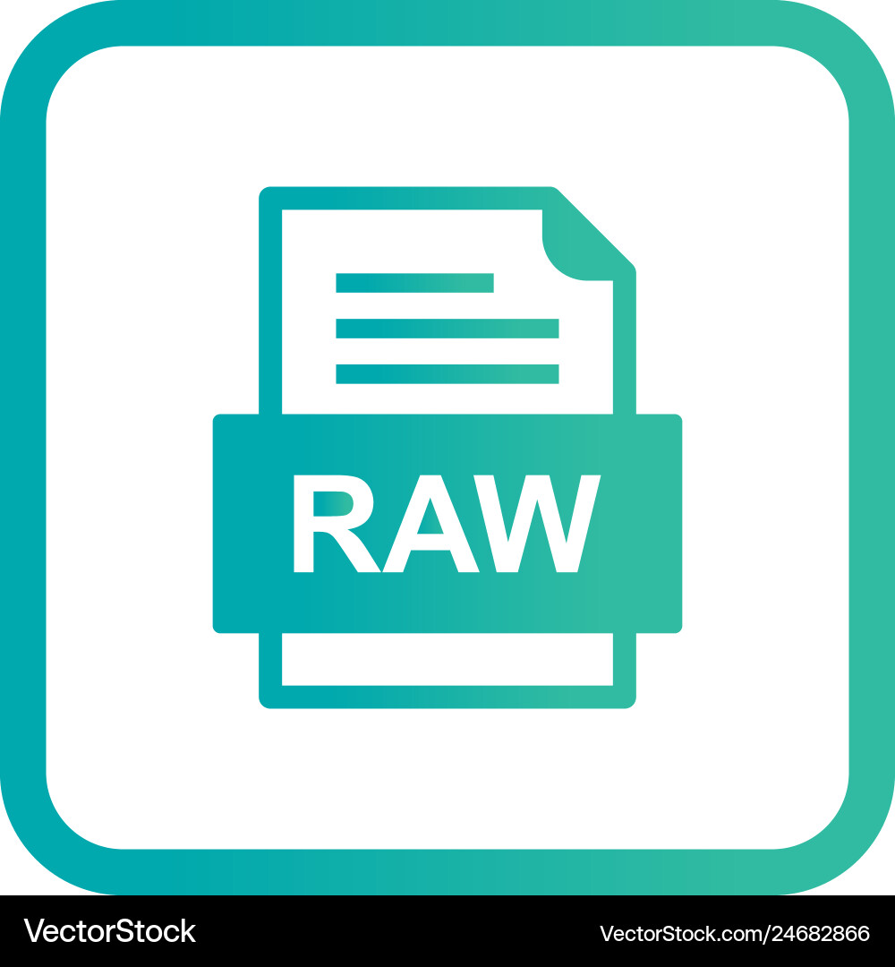 Raw file document icon Vector Image