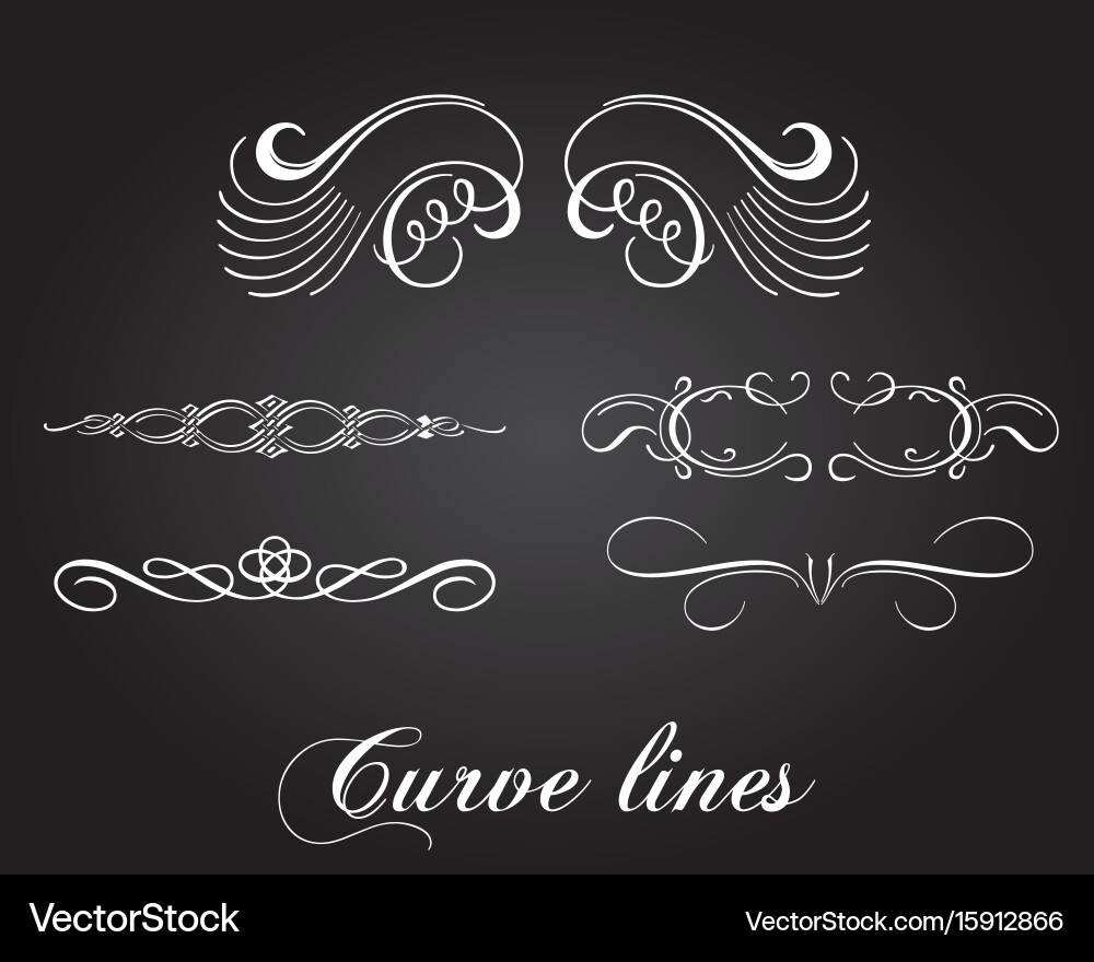 Typographic design elements and curve lines Vector Image