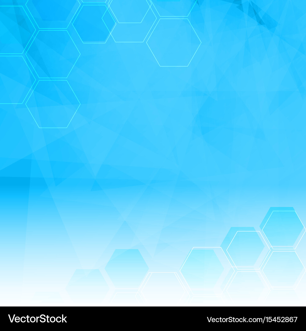 Abstract background with low poly and hexagon vector image