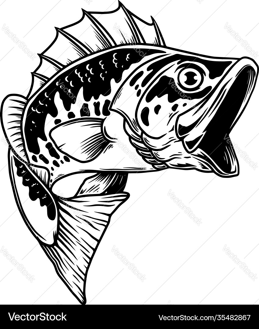 Bass fish big perch fishing design element vector image