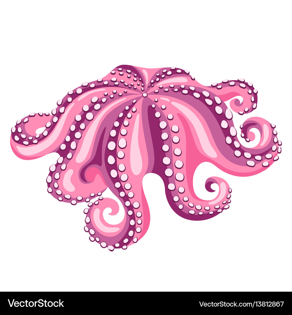 Isolated Octopus on White Background Royalty Free Vector