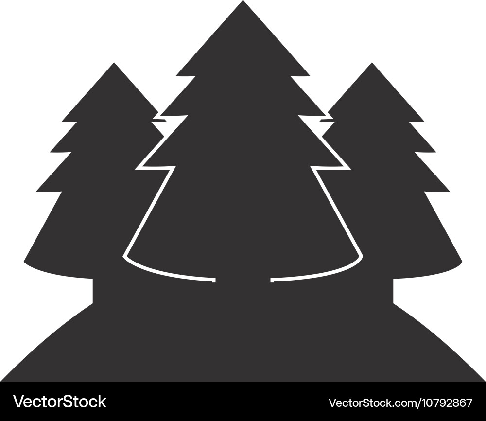 Isolated pine trees design Royalty Free Vector Image