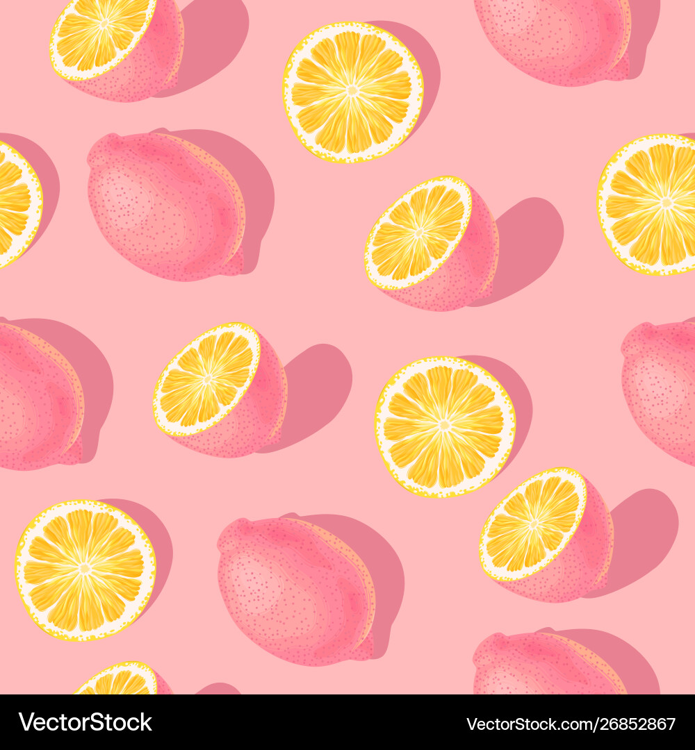 Lemon Slice Pattern vector image