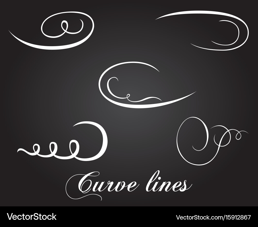 Typographic design elements and curve lines Vector Image