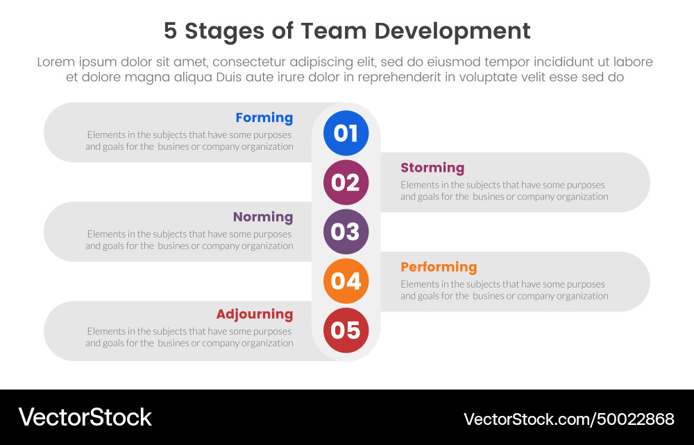 5 stages team development model framework 5 stages team development model framework vector image