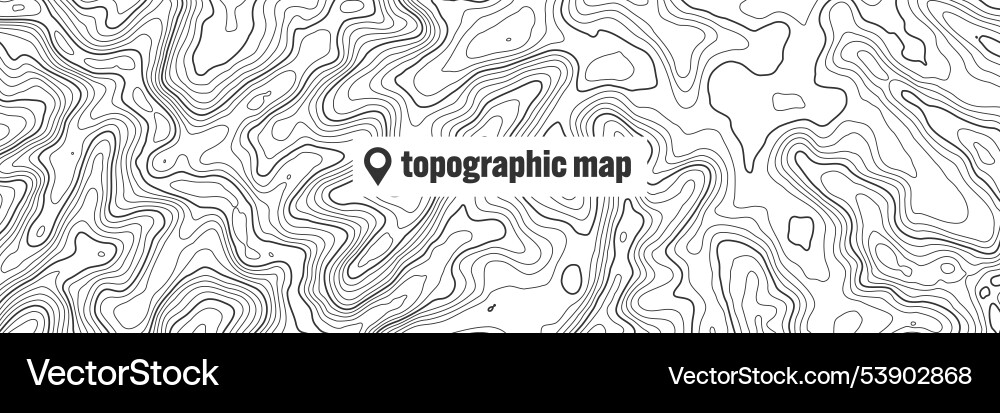 Topographic map with contour lines geographic Topographic map with contour lines geographic vector image