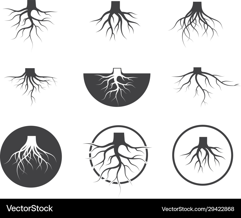Tree Roots Icon Set Vector Image