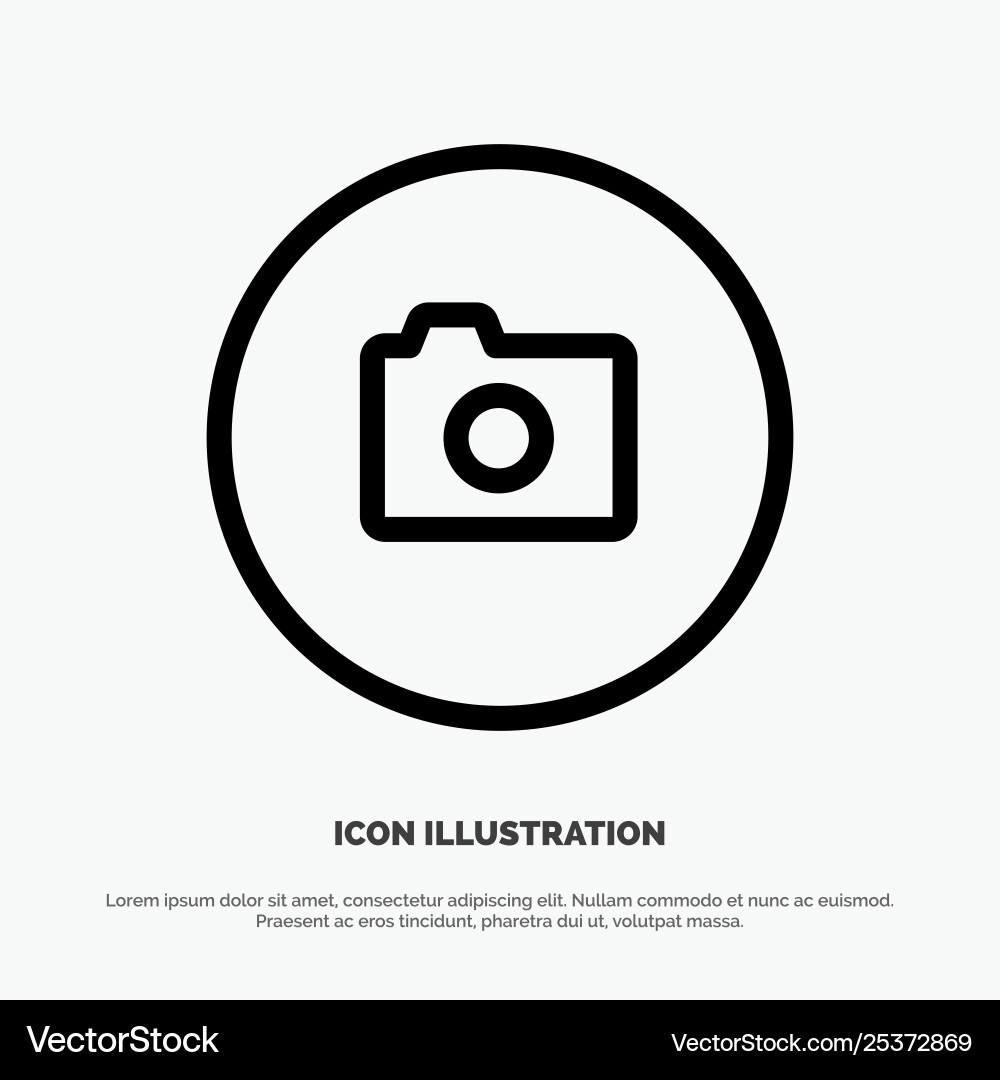 Camera image basic ui line icon Vector Image