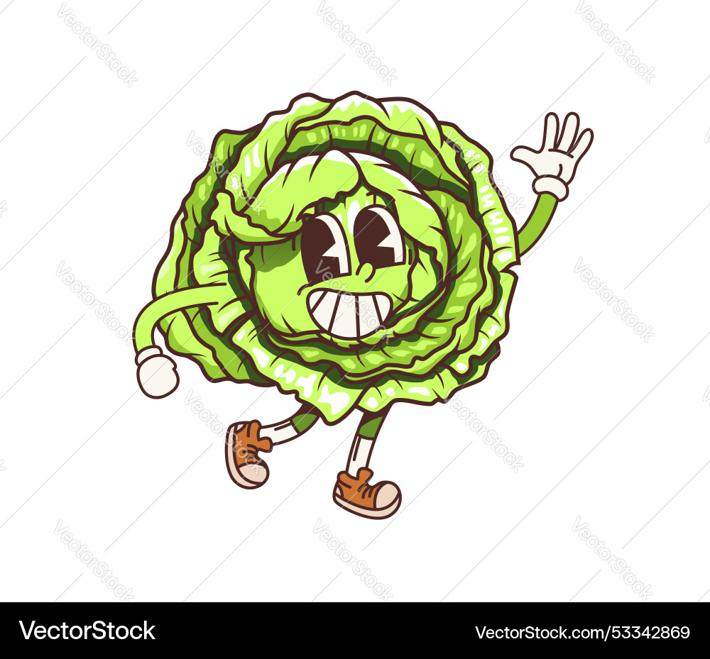 Cartoon groovy cabbage vegetable character smiles Cartoon groovy cabbage vegetable character smiles vector image