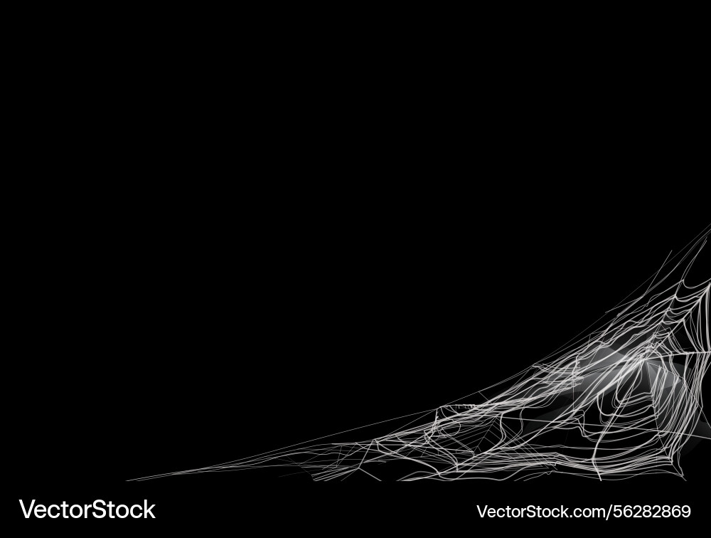 Frame with realistic angular spider web Frame with realistic angular spider web vector image