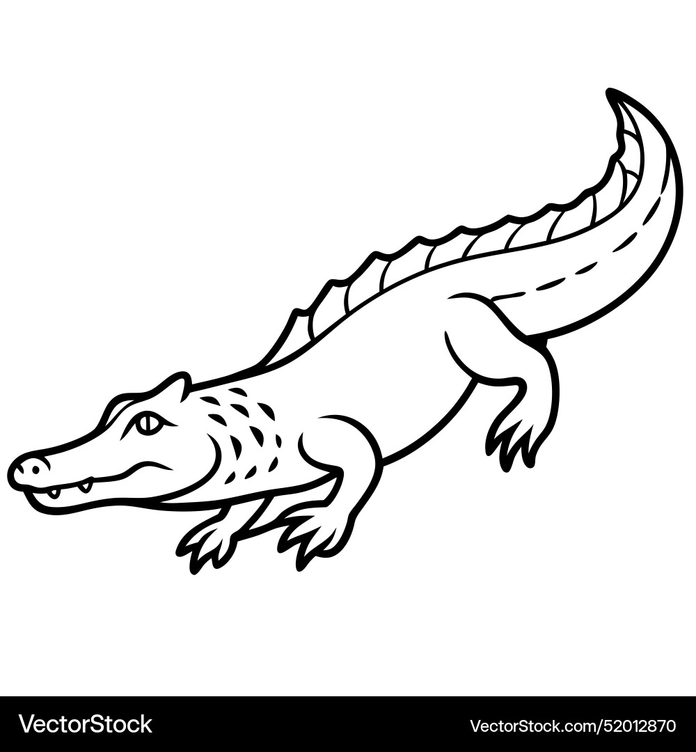 Galapagos gecko lizard looks icon Royalty Free Vector Image