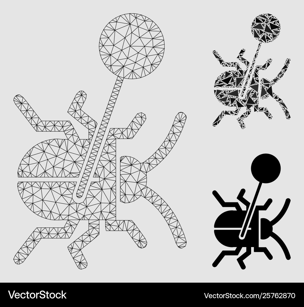 Pinned bug mesh carcass model and triangle Pinned bug mesh carcass model and triangle vector image