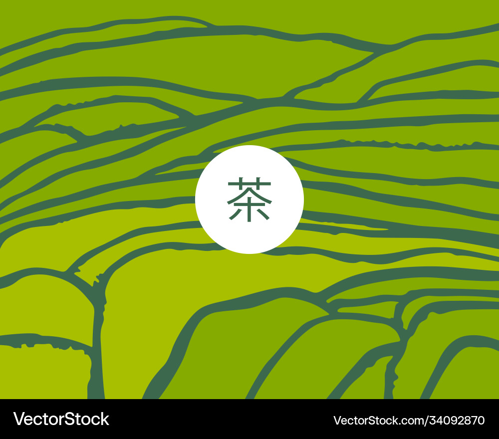 Plantage auf Kaskaden Feld Tee Titel chinese Plantage auf Kaskaden Feld Tee Titel chinese vektorbild