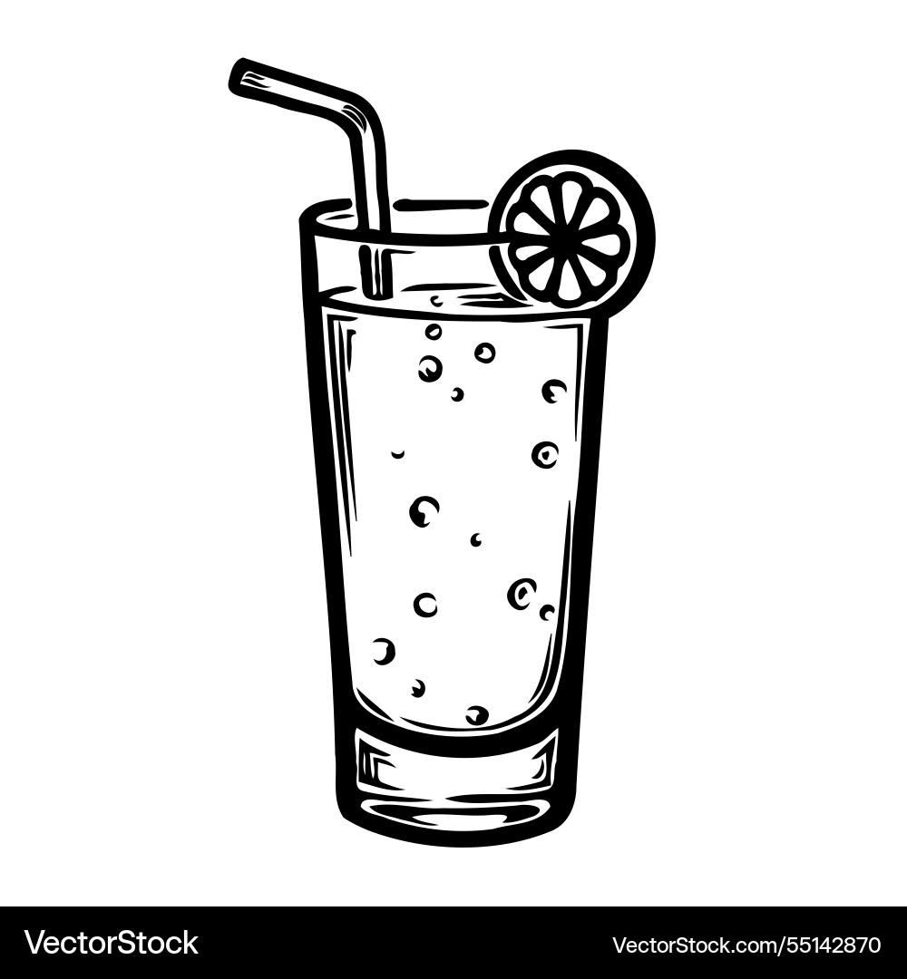 Refreshing drink with straw and lemon slice Vector Image