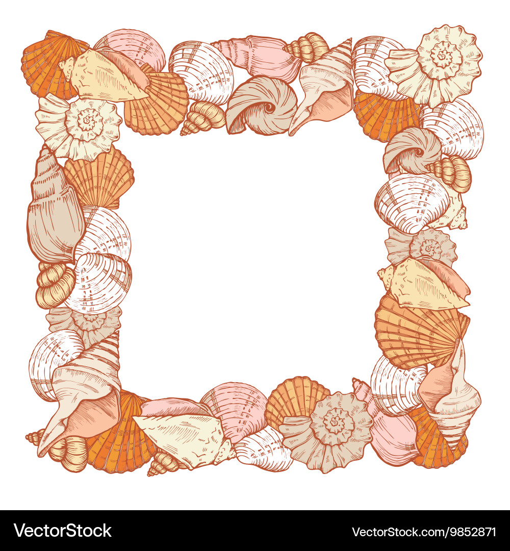 Sea shell square frame vector image