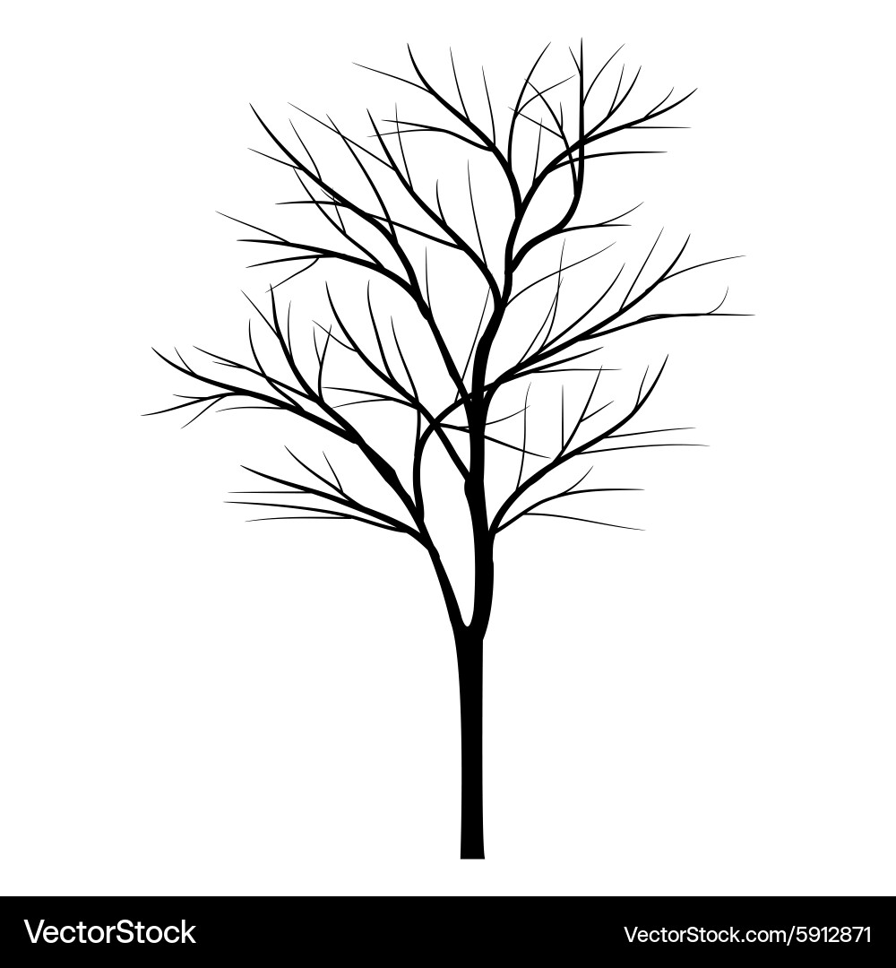 Trees with dead branch vector image