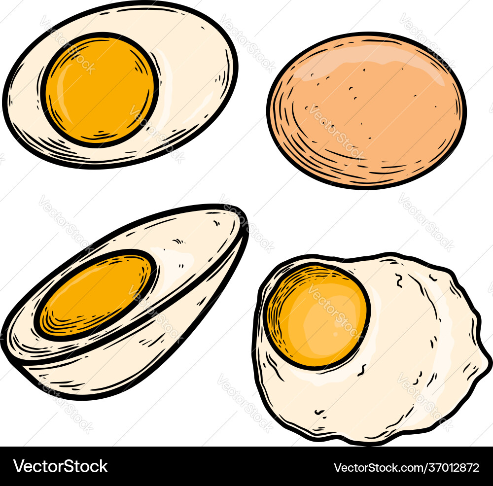 Set chicken eggs in engraving style design Set chicken eggs in engraving style design vector image