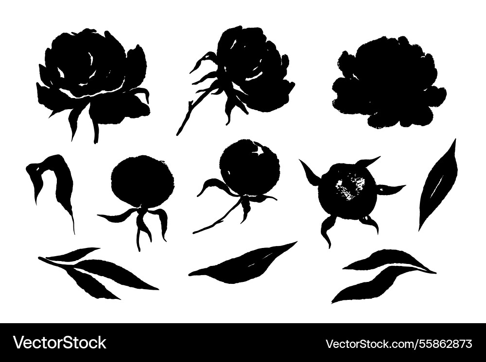 Pfingstblumen schwarze Silhouetten Sammlung Pfingstblumen schwarze Silhouetten Sammlung vektorbild