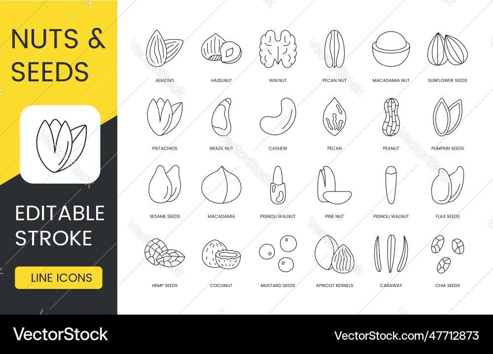 Set of linear icons in seeds and nuts vector image