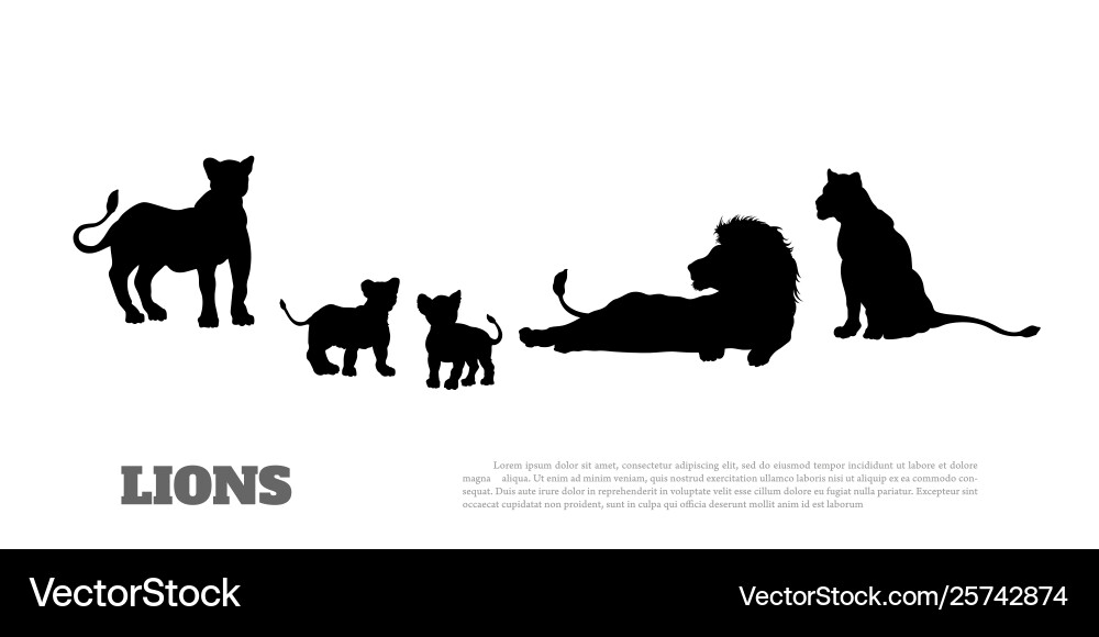 Black Lion Pride Silhouette vector image