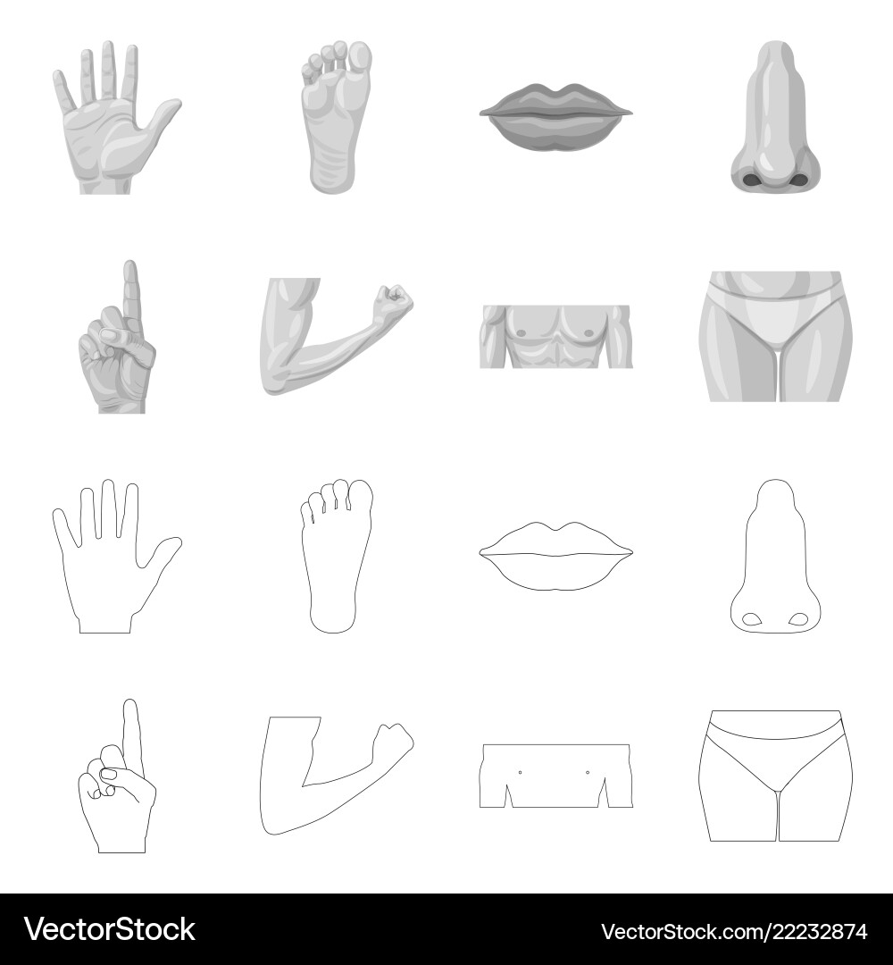 Design of human and part symbol set Design of human and part symbol set vector image