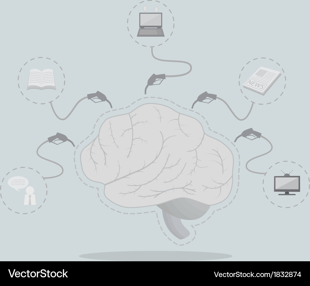 Increase knowledge efficiency of the brain Vector Image