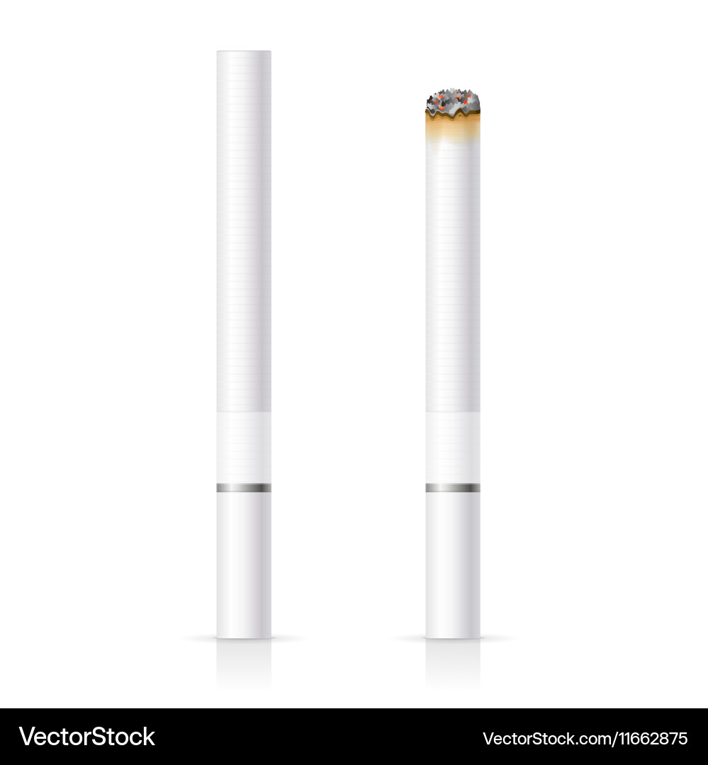 Realistic cigarette with white filter Royalty Free Vector