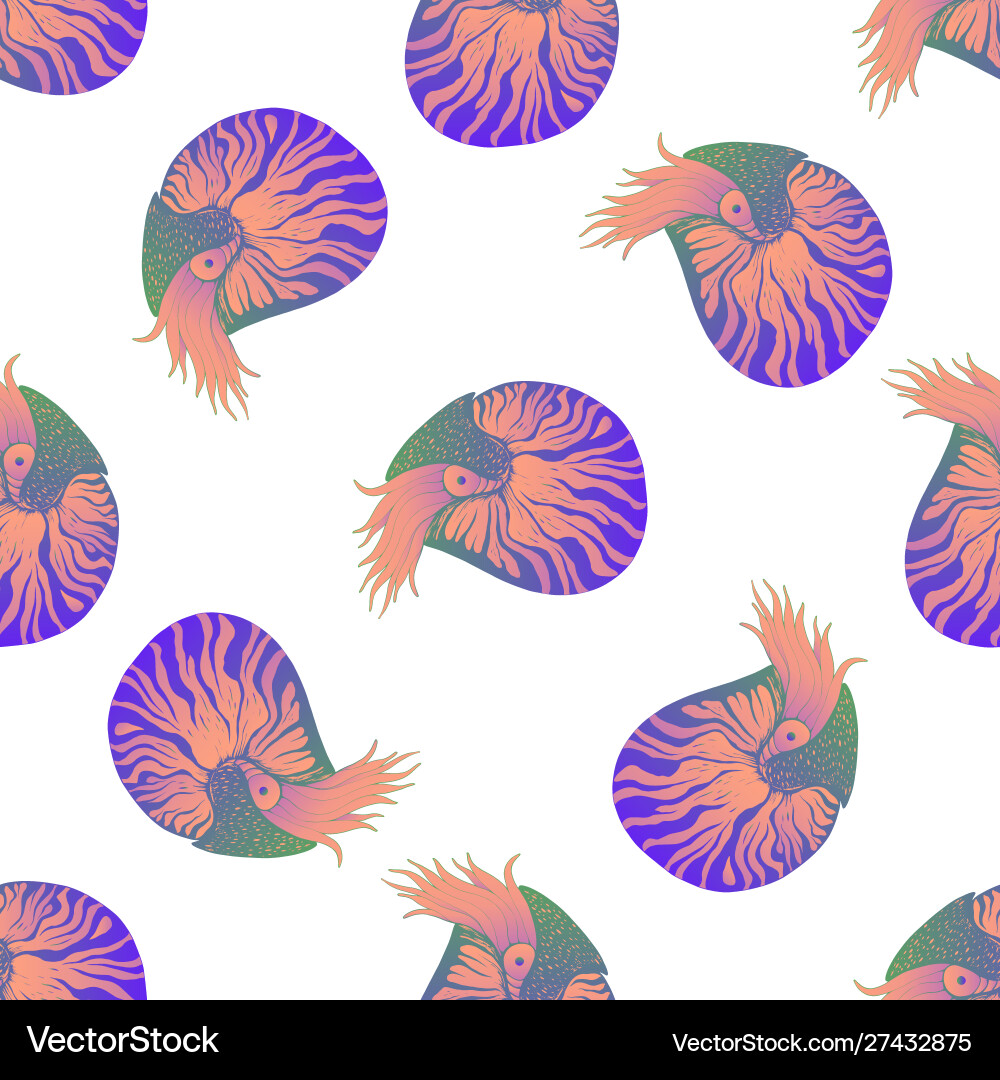 Seamless pattern with colorful nautilus animals vector image