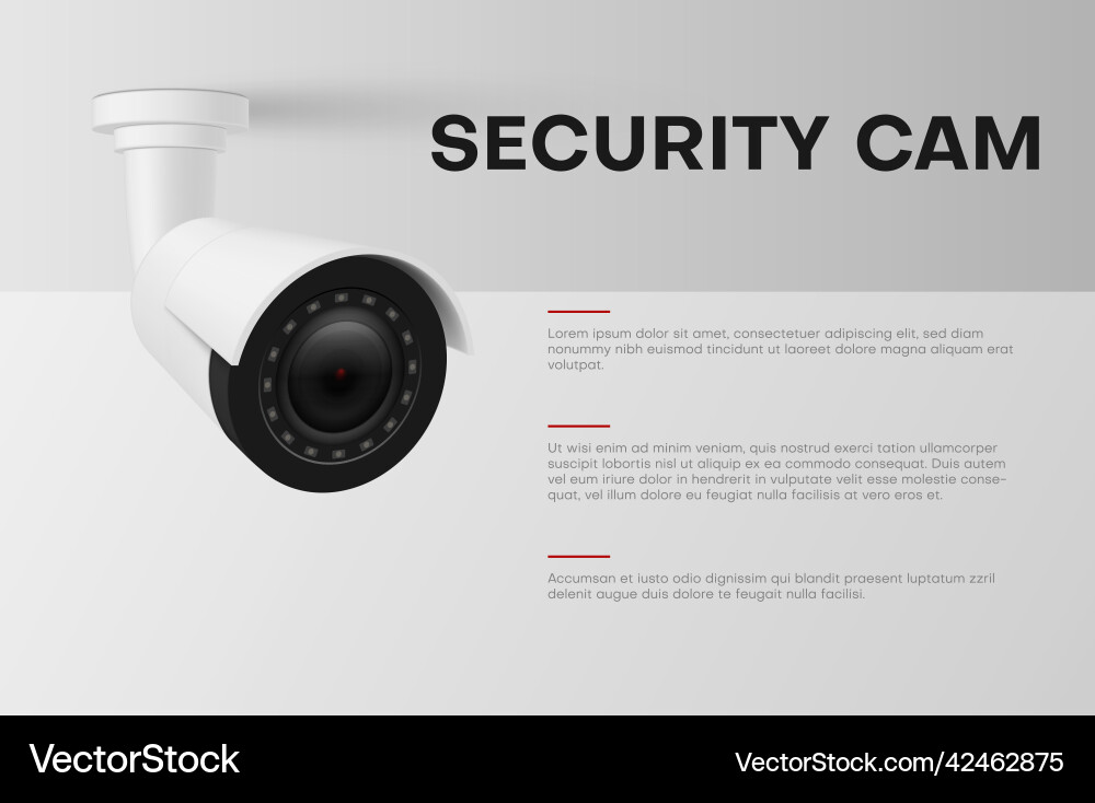 Security Camera Monitoring System vector image