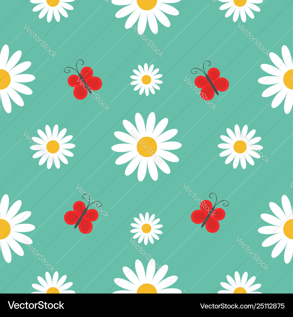 White daisy chamomile red butterfly insect cute White daisy chamomile red butterfly insect cute vector image