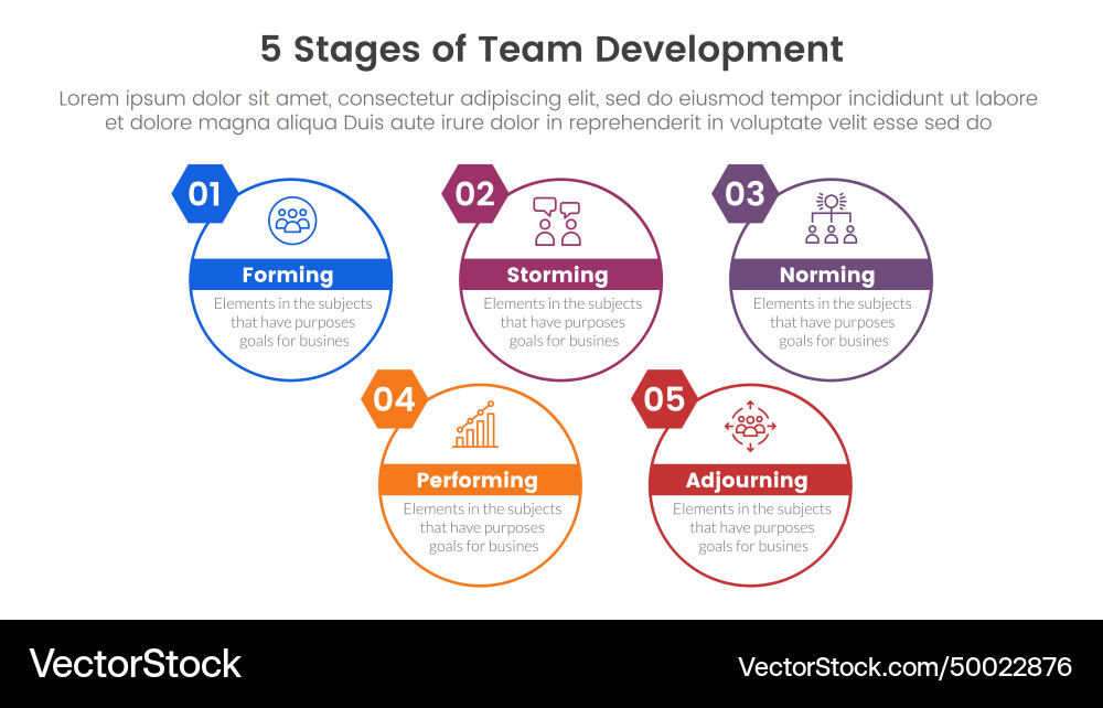 5 stages team development model framework 5 stages team development model framework vector image