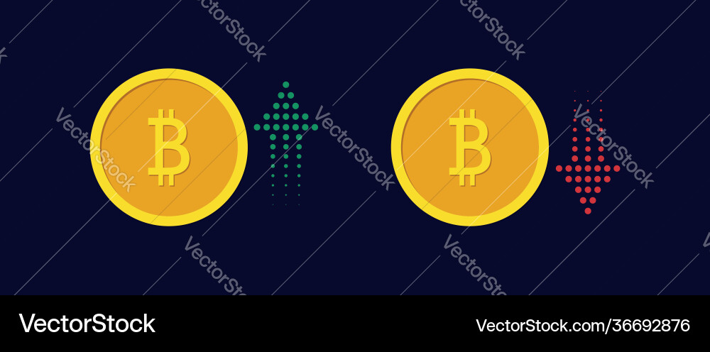 Bitcoin growth and fall concept arrow up down Bitcoin growth and fall concept arrow up down vector image