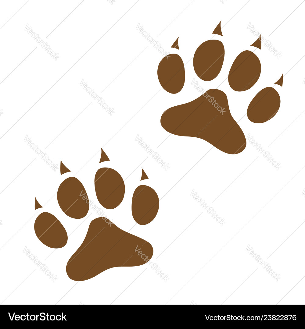 Dog paw prints icon vector image