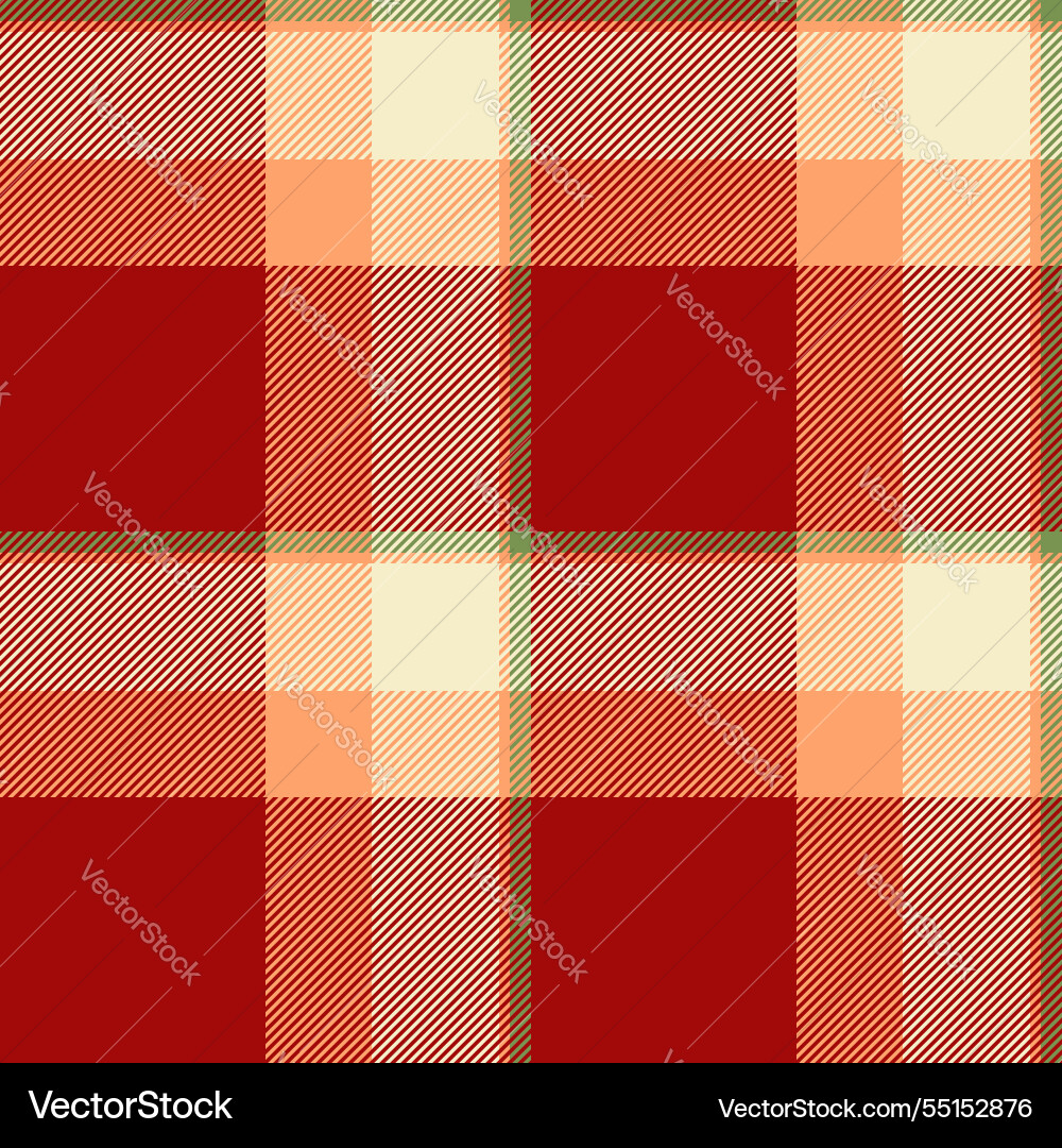 Elegant pattern texture plaid string fabric vector image