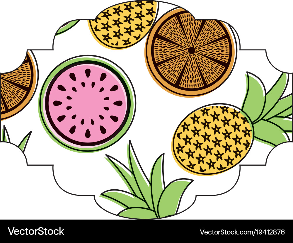 Frame with fruits pattern Vector Image